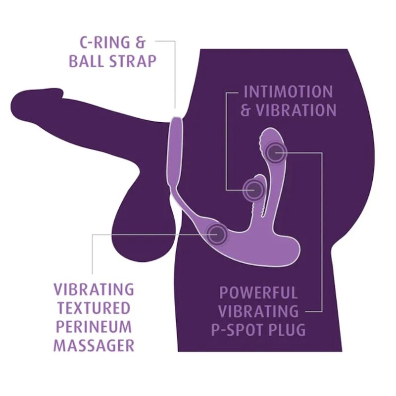 Stimulateur Anal Périnéal Ass-Gasm IntiMotion Rechargeable - Anal Fantasy Elite