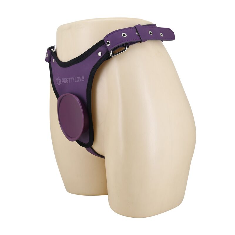 Culotte Harnais Universelle Violette et Noire - Harness Collection